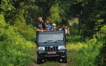 Chitwan Airport Jeep Transfer