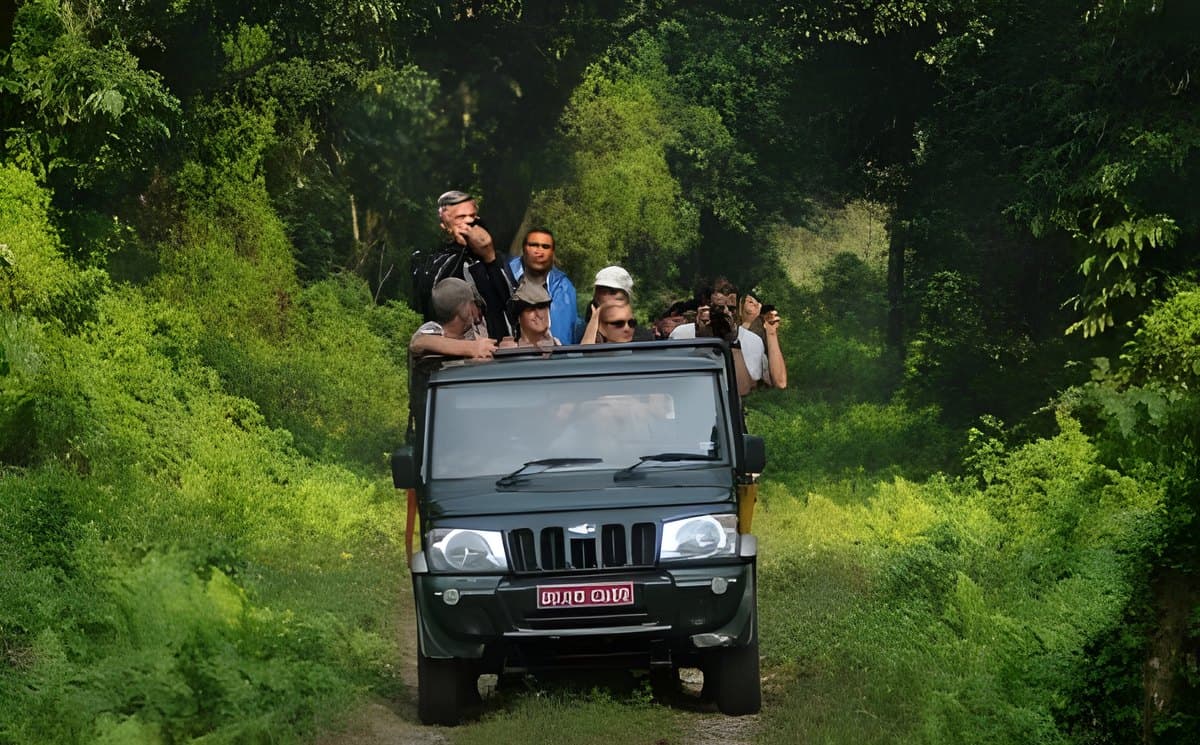 Guests on a Chitwan jeep safari in Chitwan National Park, Nepal