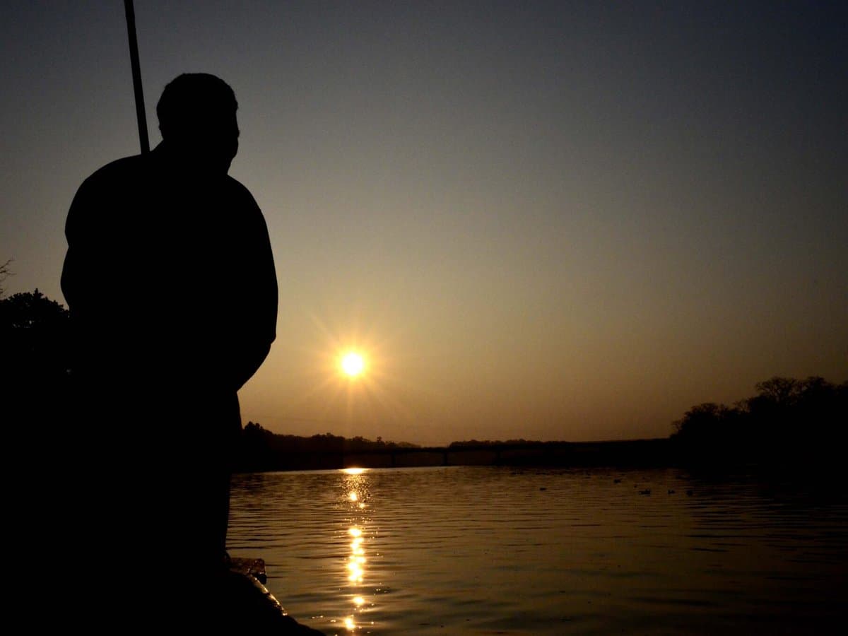 Best Time to Visit Chitwan: Month by Month