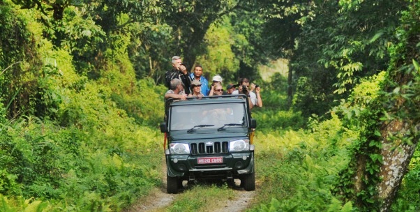 Chitwan jeep safari