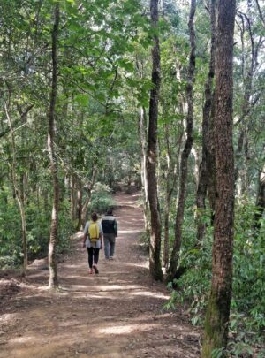 jungle walk chitwan