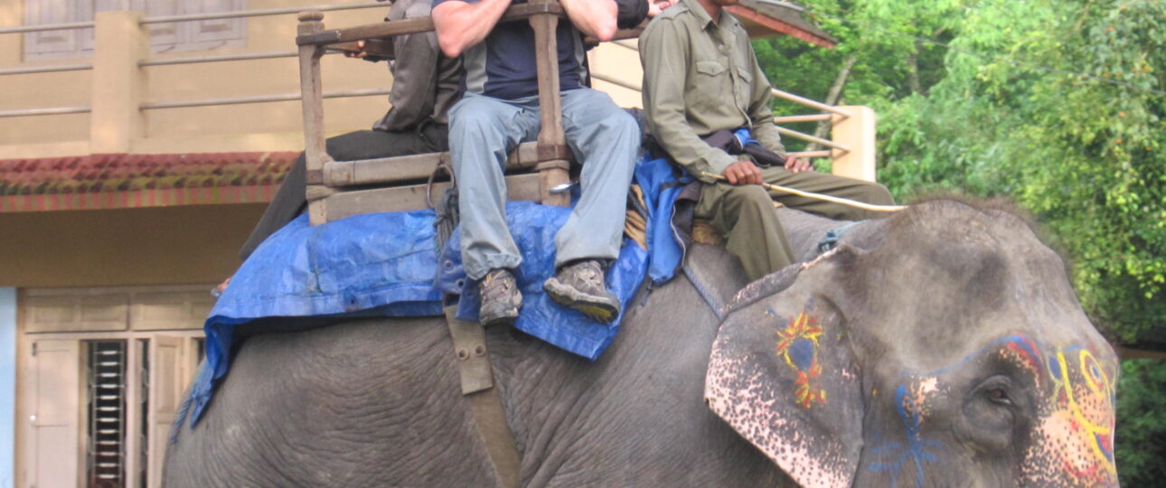 Chitwan Elephant Safari