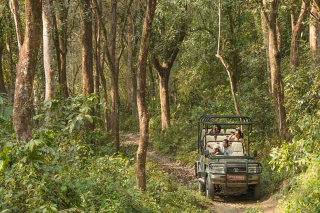 Jeep Safari in Chitwan