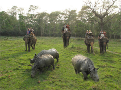 Welcome to Chitwan Jungle Safari