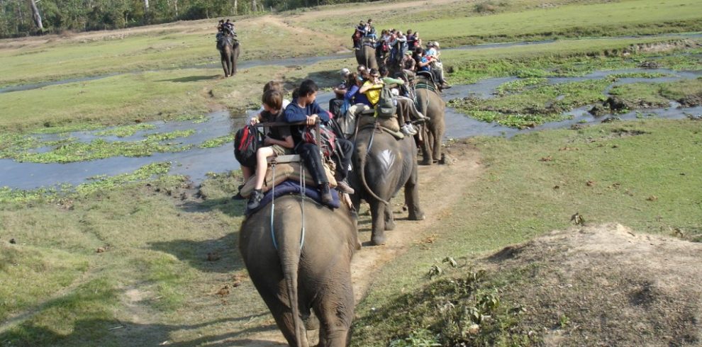 chitwan-jungle-safari-1024×768-1-990×490