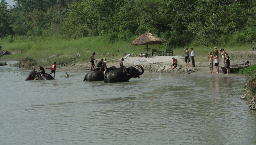 chitwan-jungle-safari03-864×490