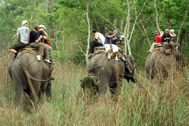 Chitwan National Park safari